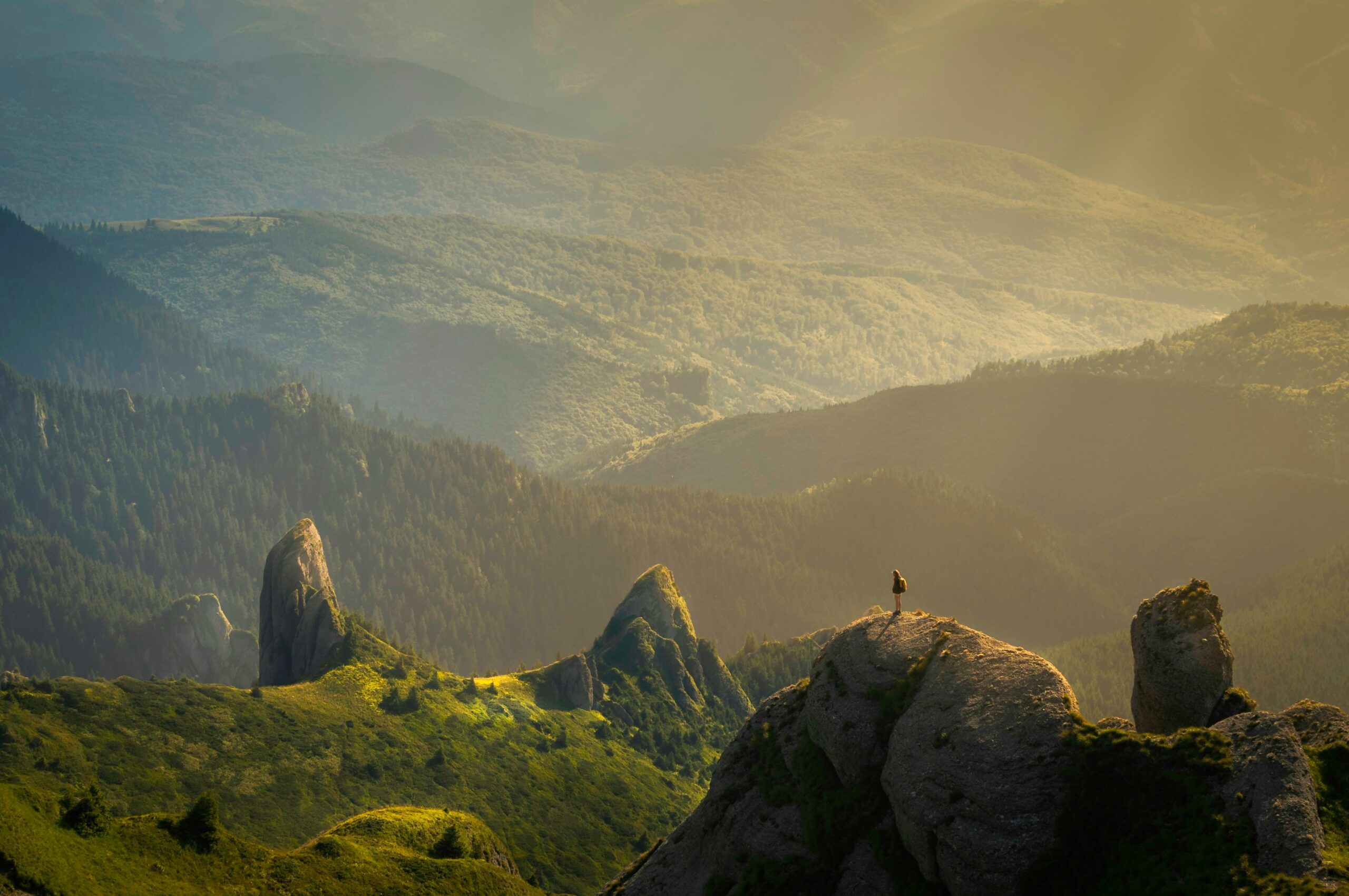 Immagine in evidenza di Hello World
