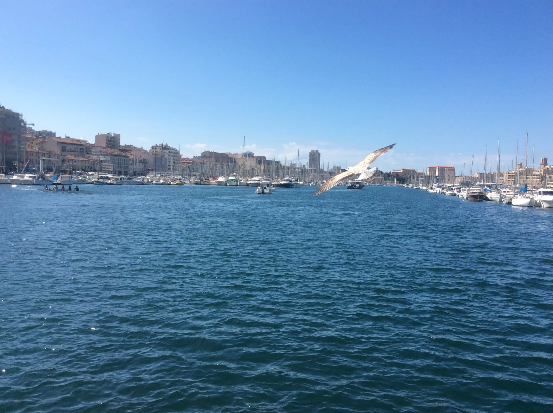 Marseille's Vieux-Port with fishing boats and yachts in the natural harbour