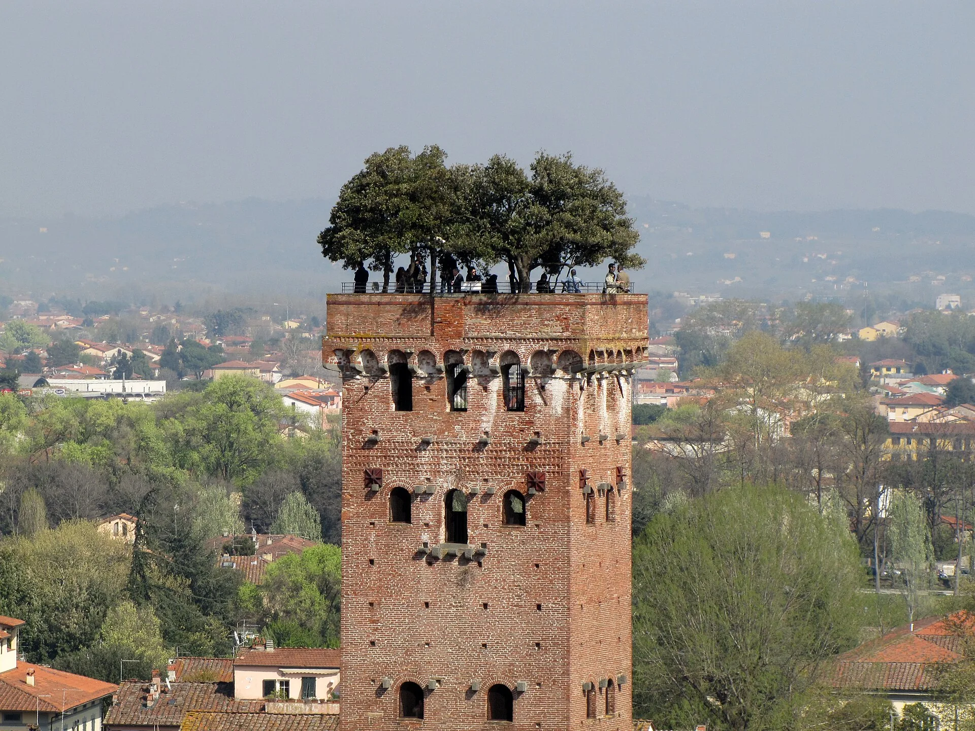 Torre Guinigi in Lucca, Tuscany