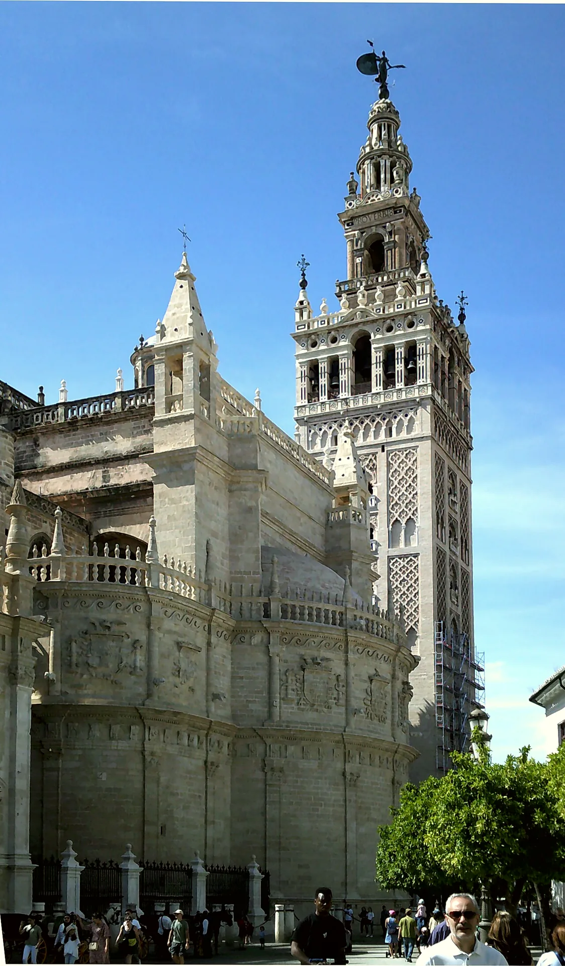 The Giralda tower rising beside Seville Cathedral.