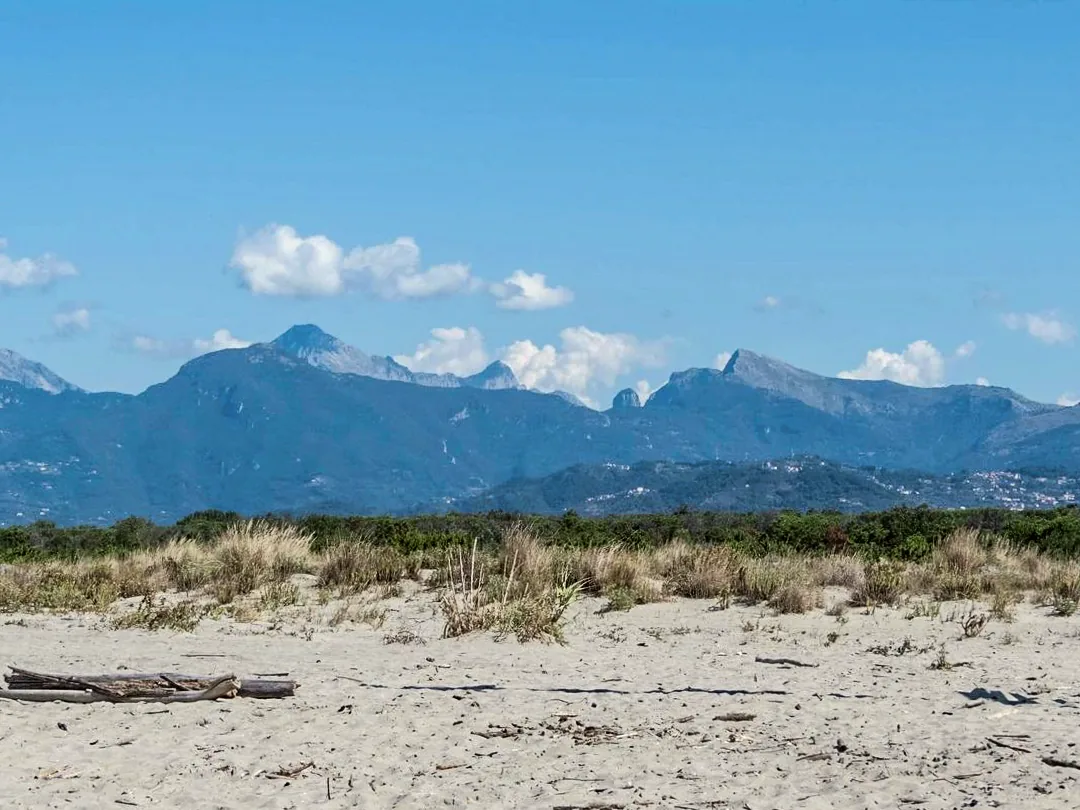 The shore at La Lecciona, with the Apuan Alps visible behind it.