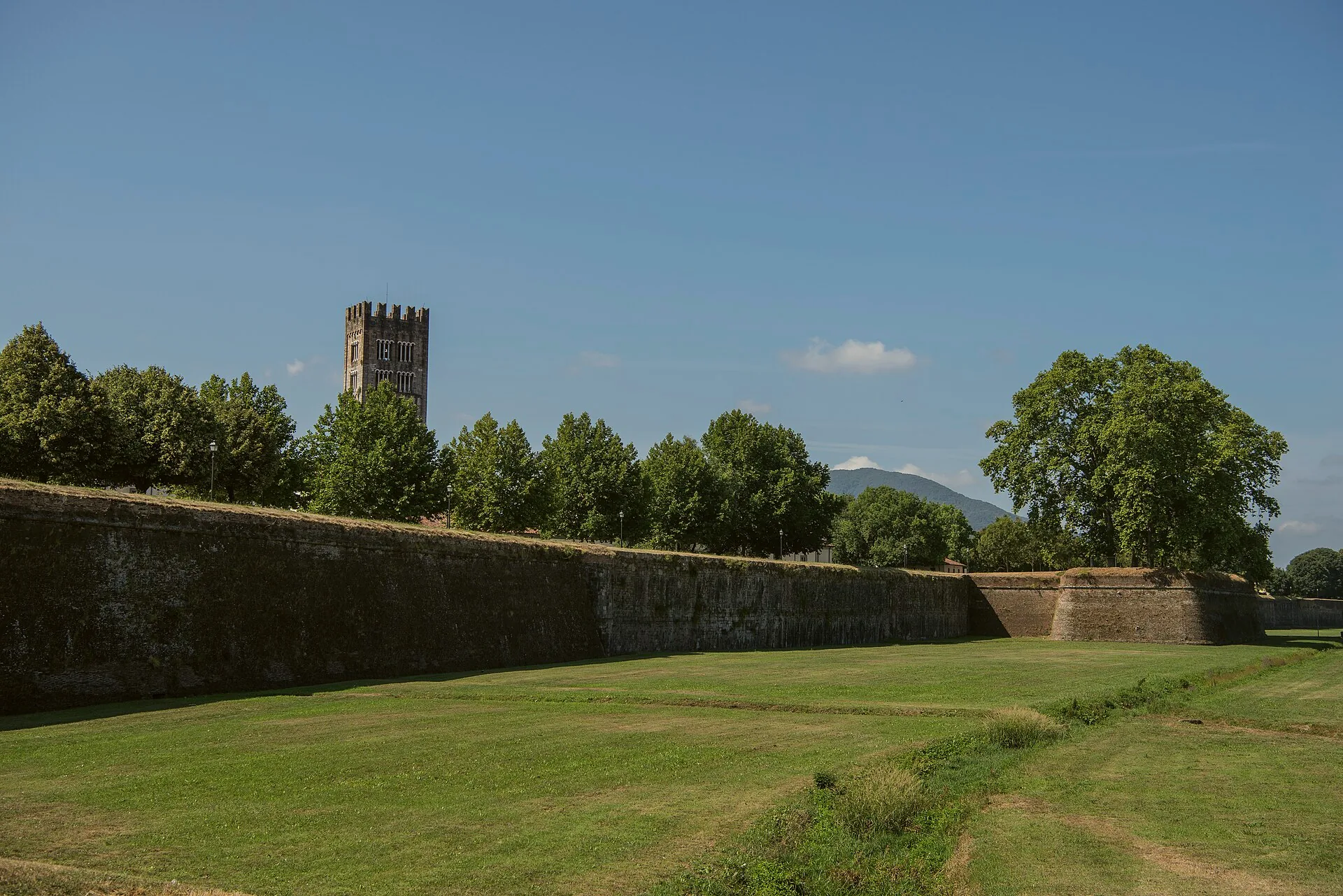The grass-covered ramparts of Lucca’s city walls, seen from the surrounding lawn.