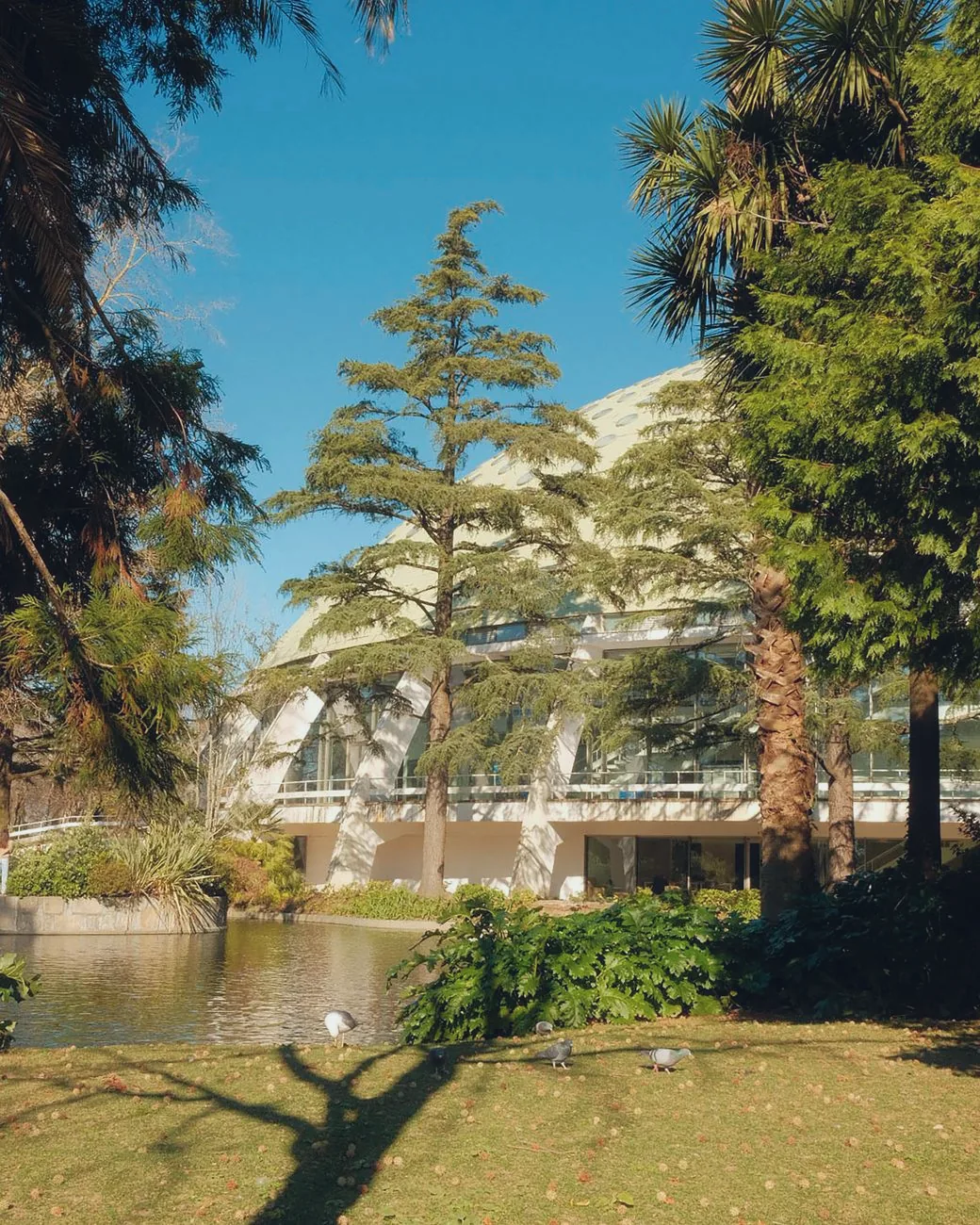 Lush greenery and historic architecture in Porto’s Crystal Palace Gardens.