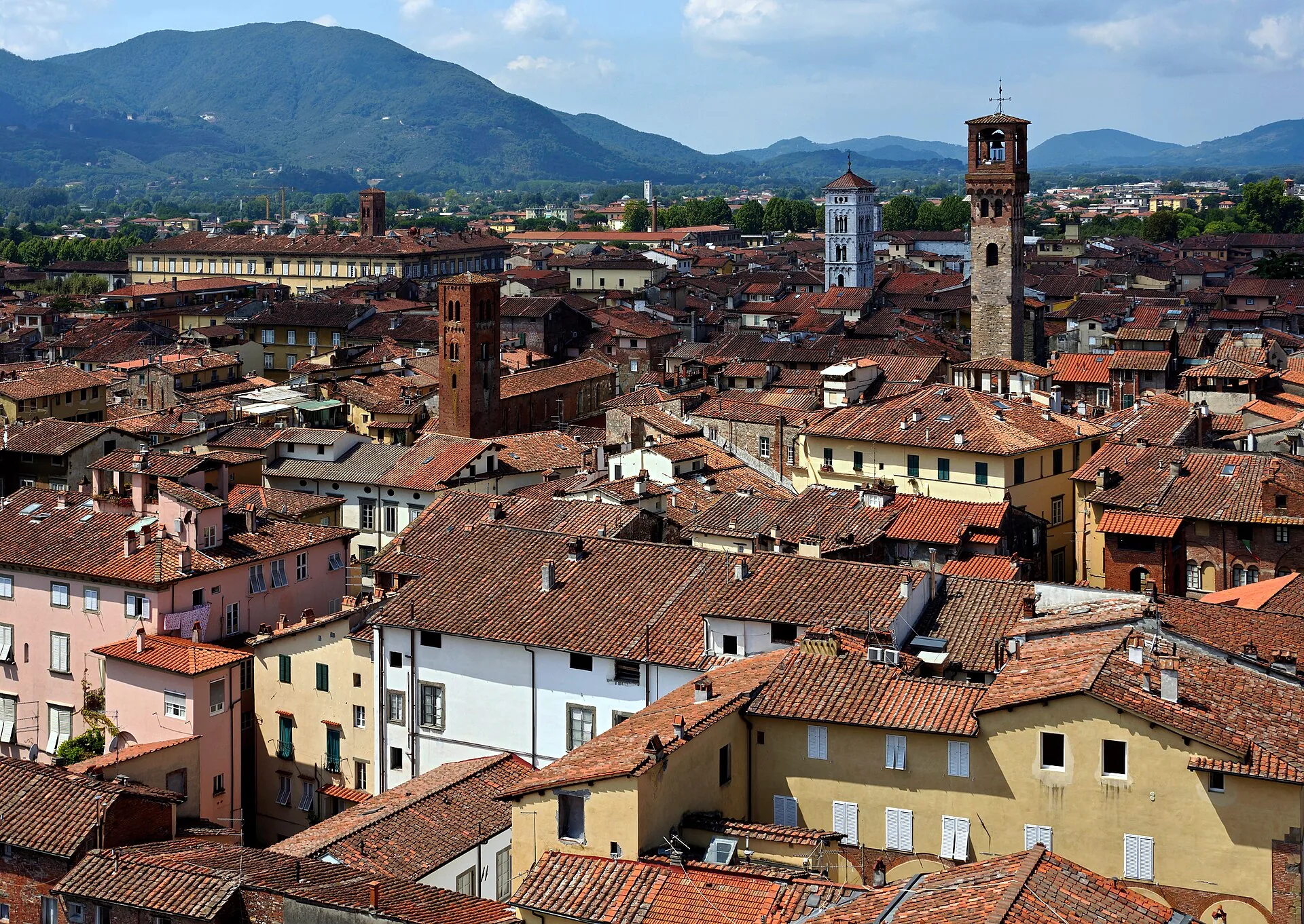 Rooftops and church towers across Lucca, viewed from Torre Guinigi.