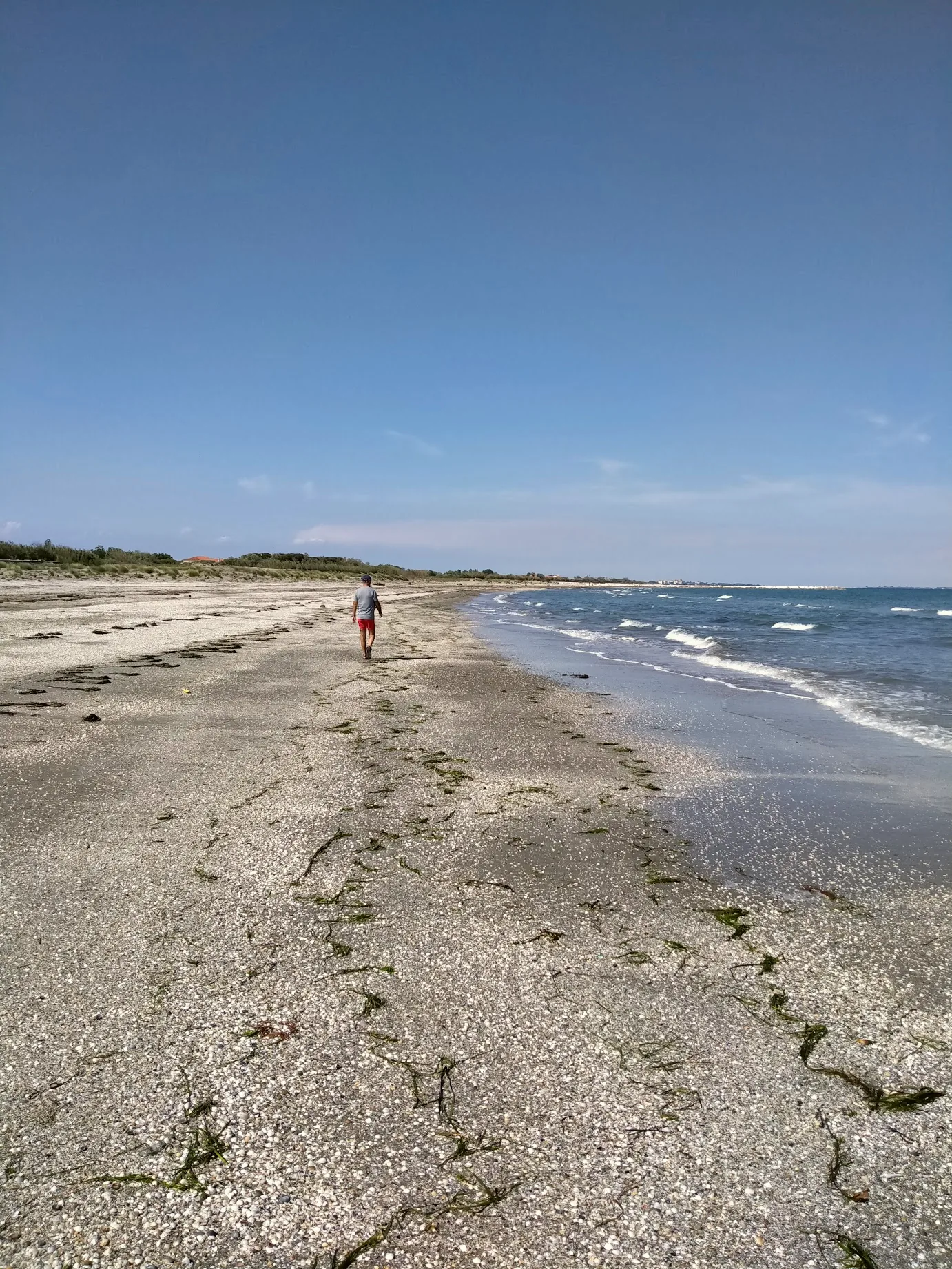 The sandy beach at Alberoni, with the Adriatic shoreline stretching into the distance.