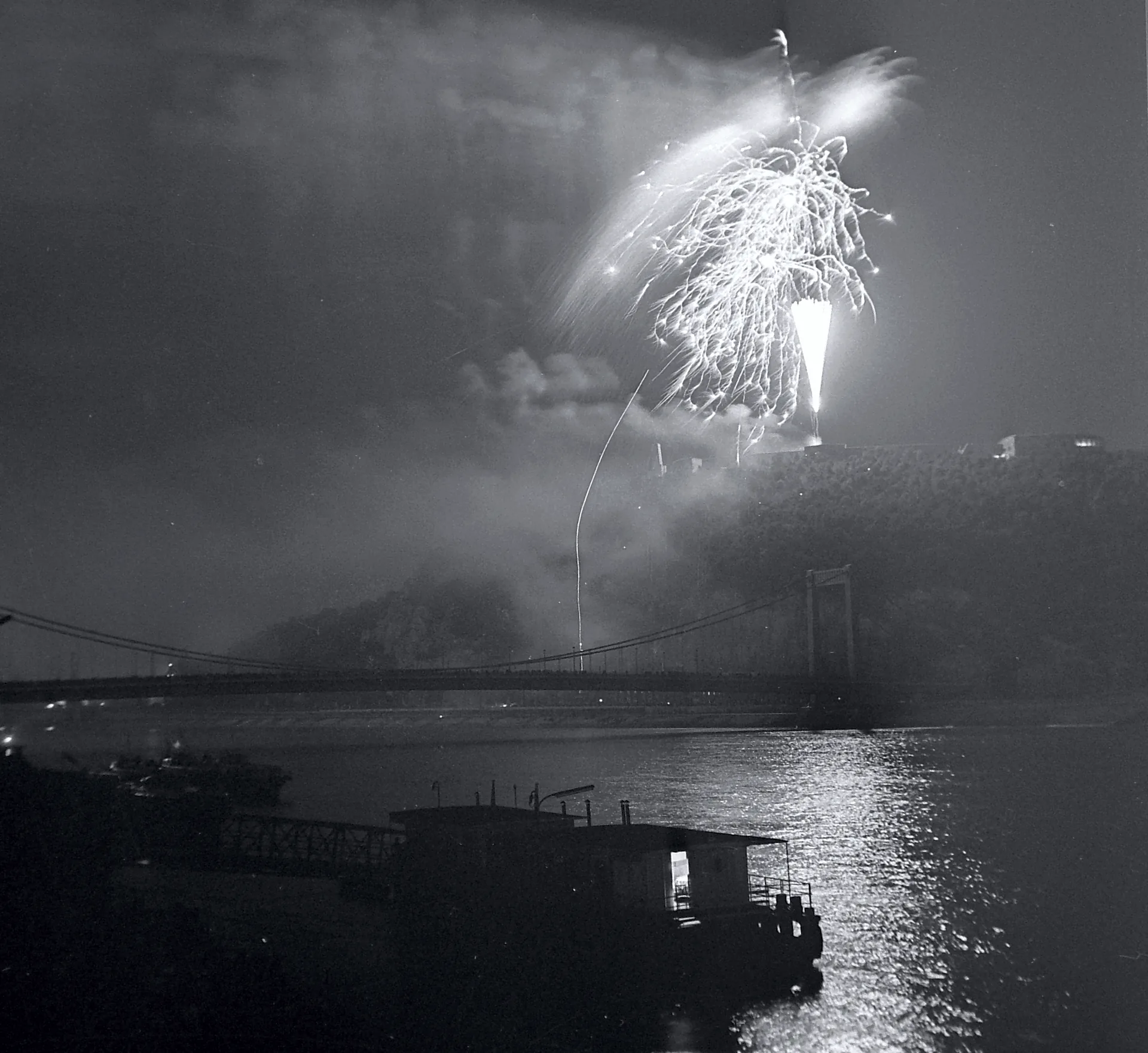 Fireworks burst above the Danube with the Erzsébet Bridge in the background.