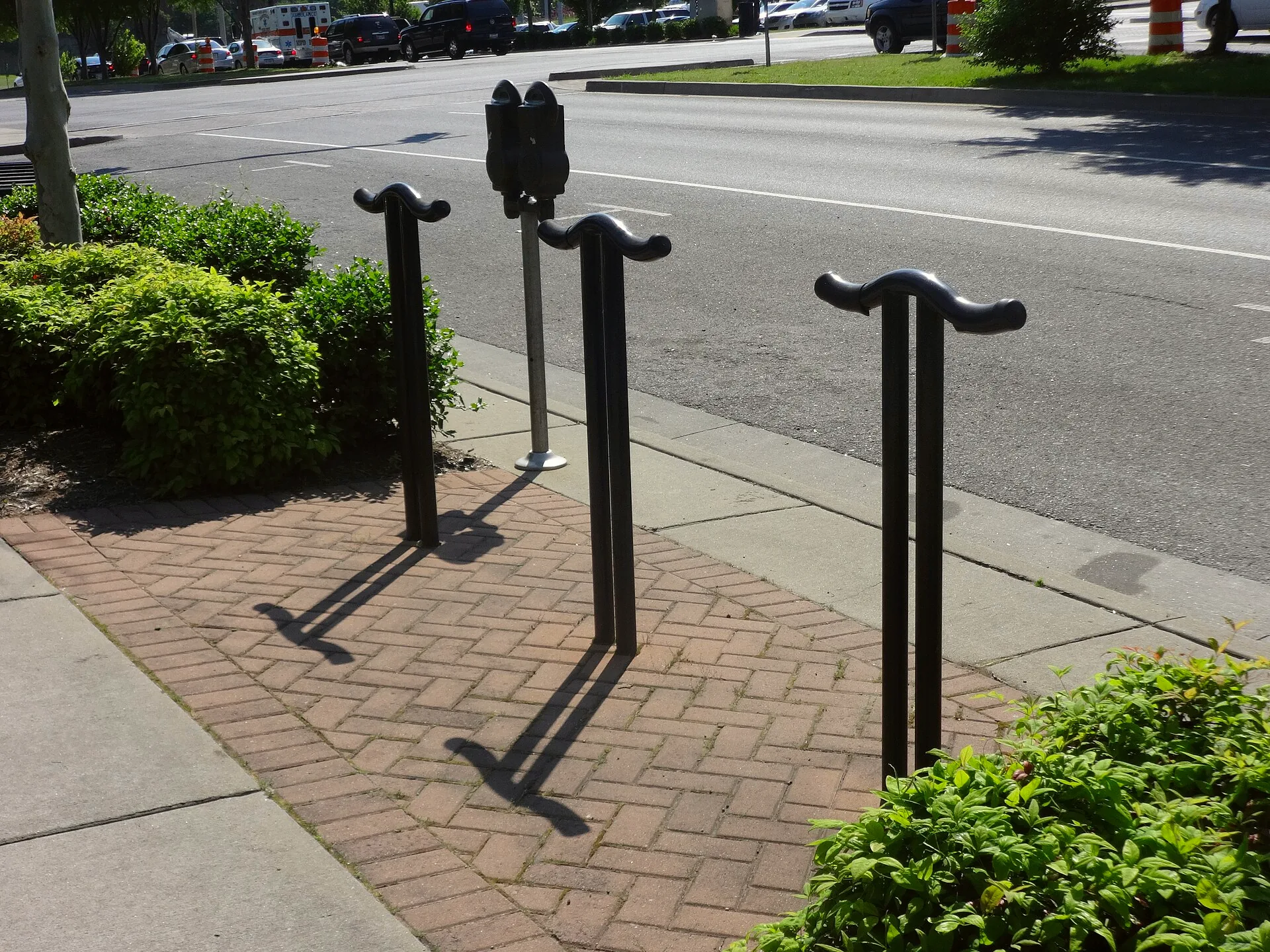 Bicycle racks beside a parking meter on a Nashville street.