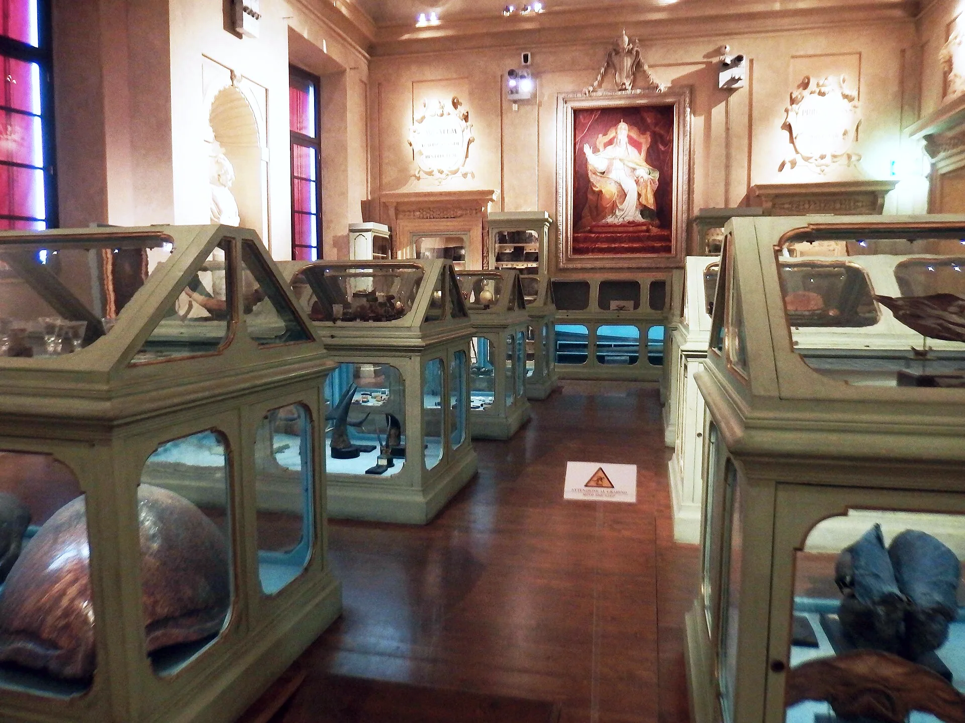 Displays in the Museo di Palazzo Poggi’s Ulisse Aldrovandi collection in Bologna.