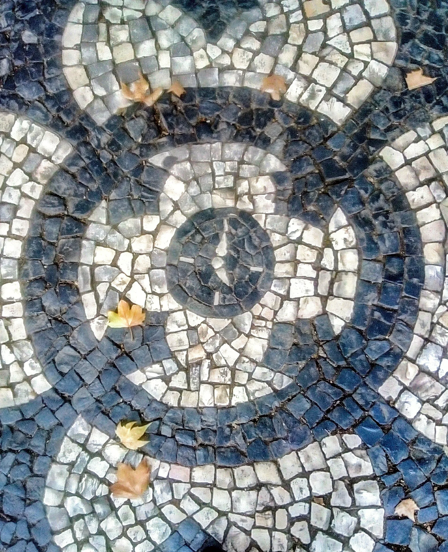 Portuguese mosaic pavement along Avenida da Liberdade in Lisbon.