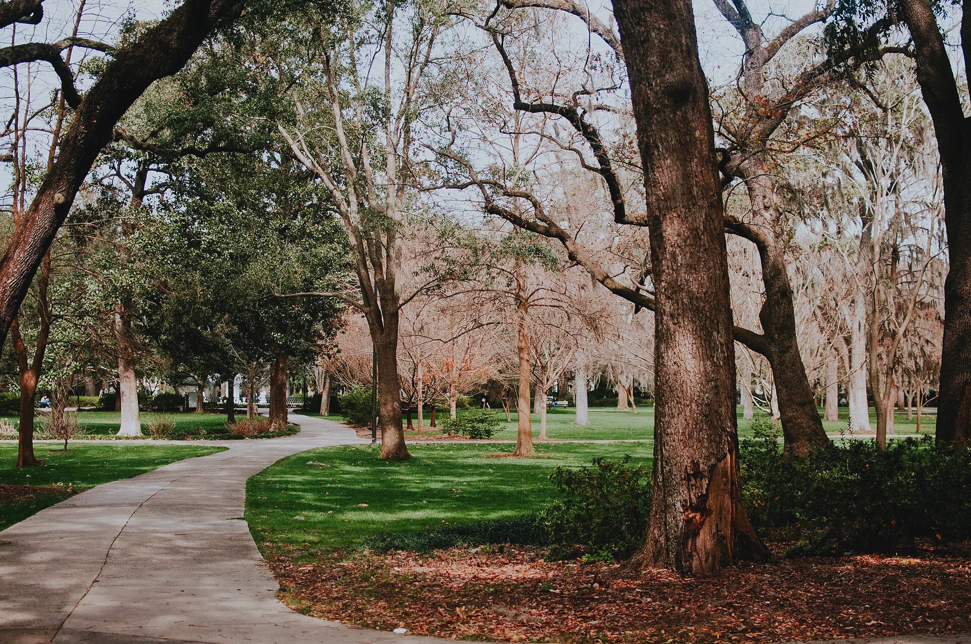 A view across the lawns and trees of Forsyth Park in Savannah.