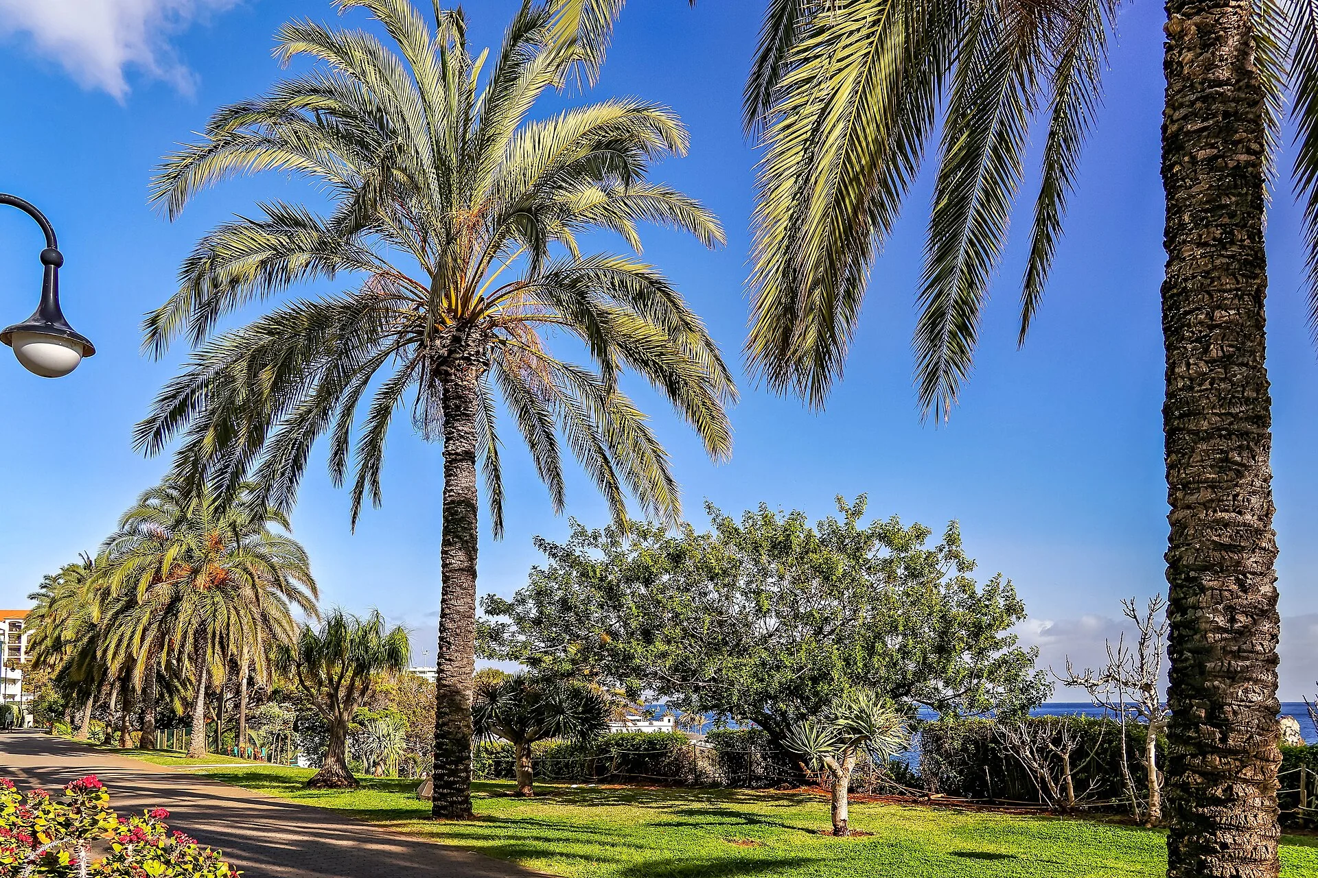 The Lido seafront promenade in Funchal.