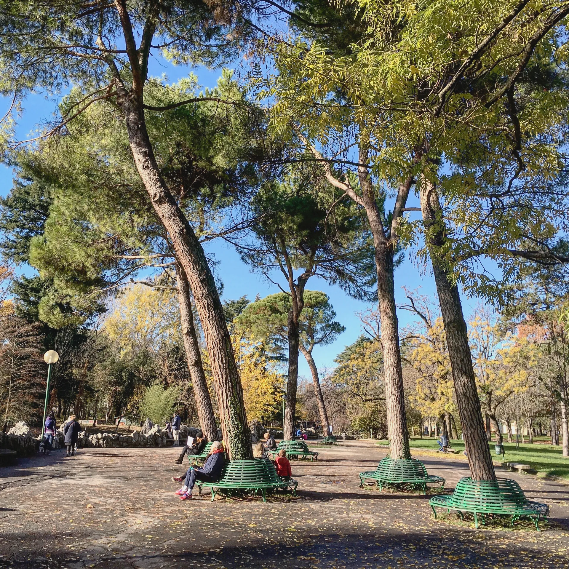 Trees and paths in Giardini Margherita, Bologna.