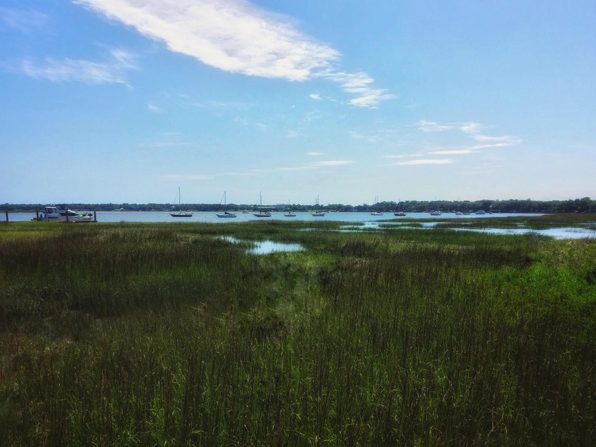 Marshland beside the Intracoastal Waterway near Waterfront Park in Beaufort, South Carolina.