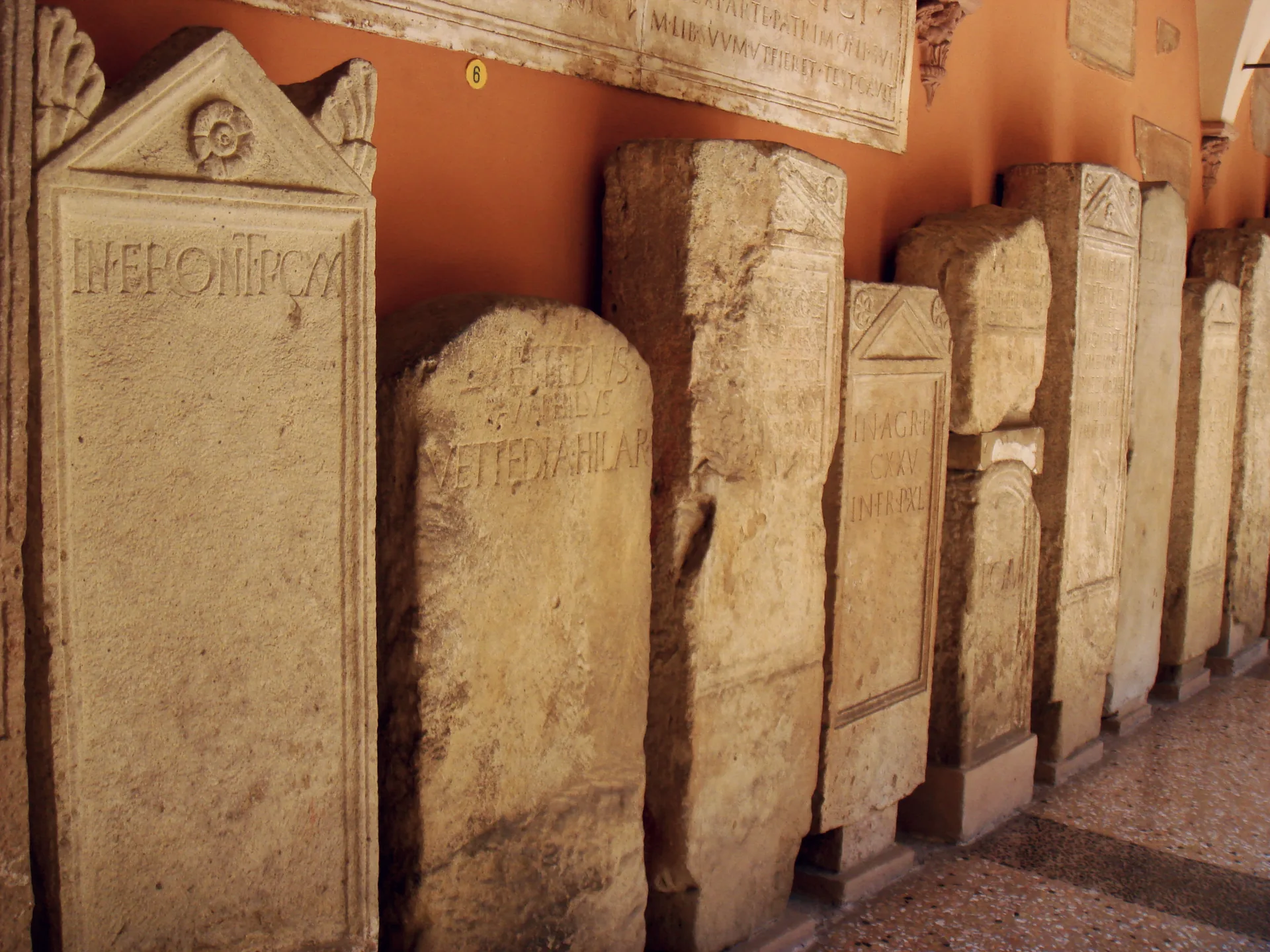 The inner courtyard of Bologna’s Museo Civico Archeologico.
