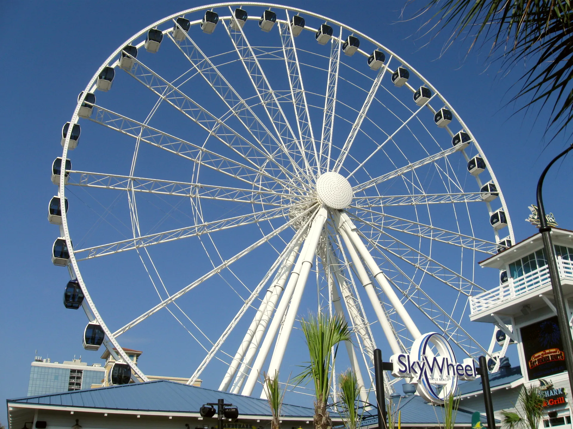 The SkyWheel rising above the Myrtle Beach shoreline.