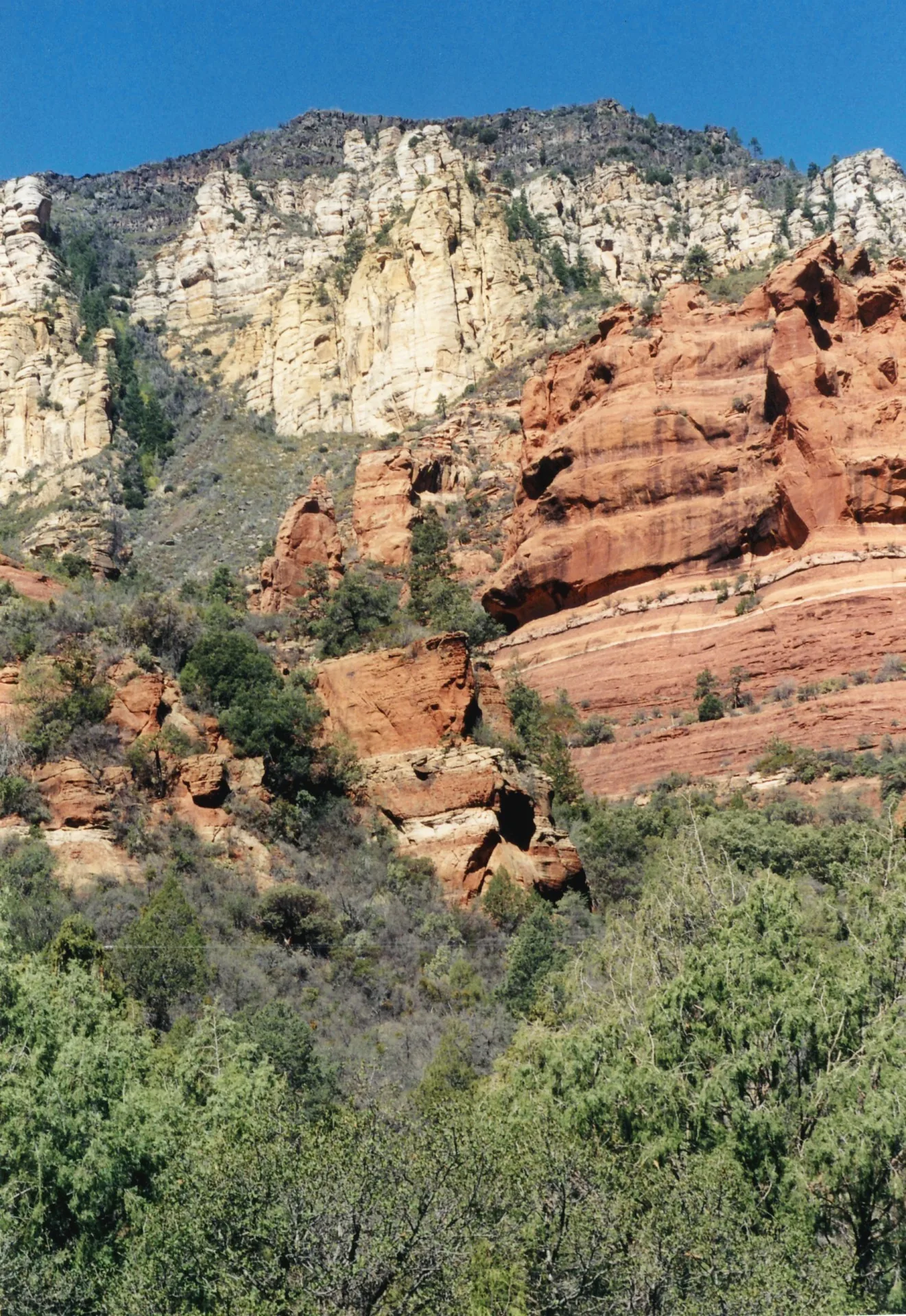 Oak Creek flowing over the smooth rock slide at Slide Rock State Park in Oak Creek Canyon.
