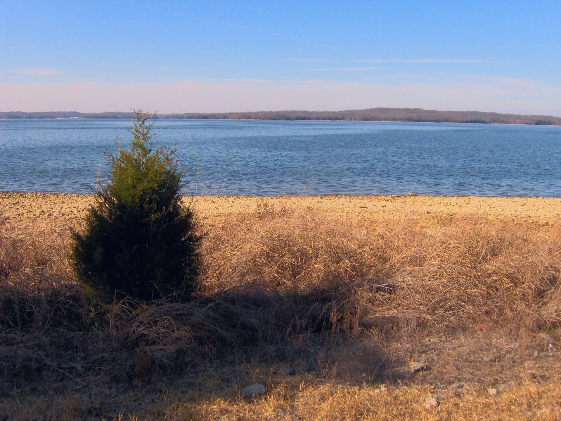 The wooded shoreline of Percy Priest Lake, with calm water extending into the distance.