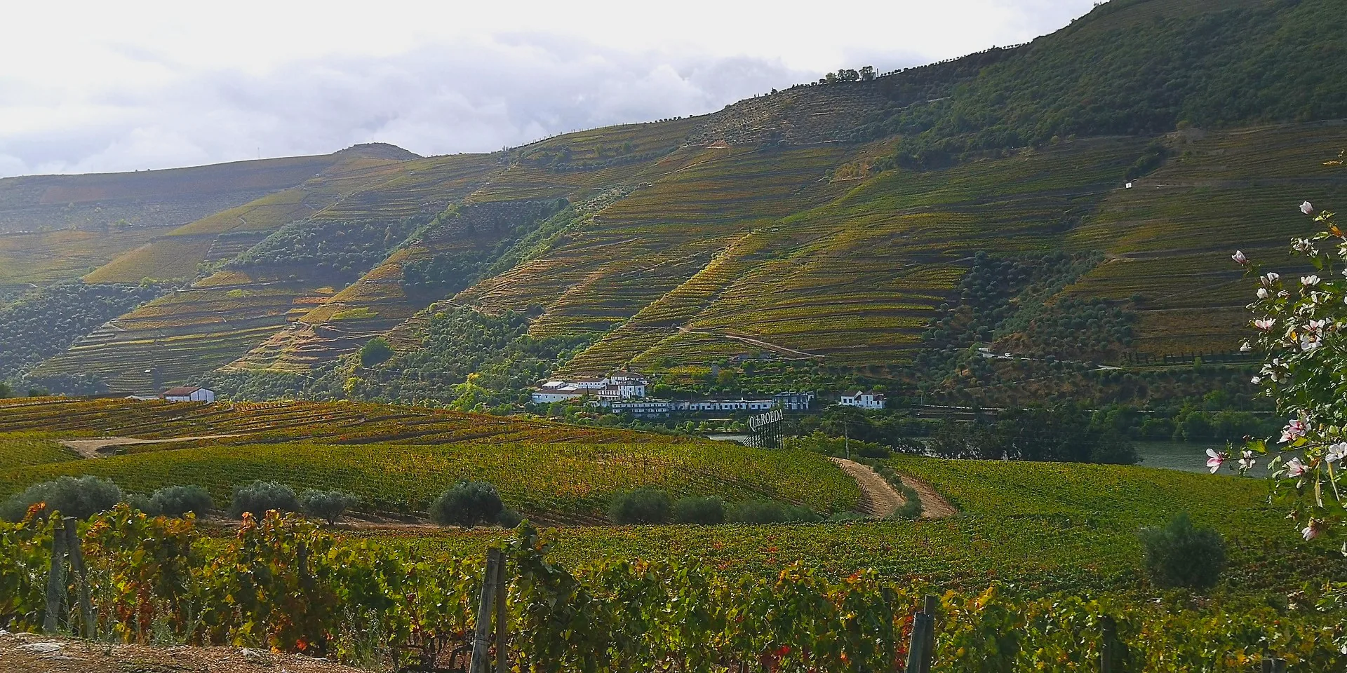 Quinta do Bomfim in Pinhão, in the Douro Valley.