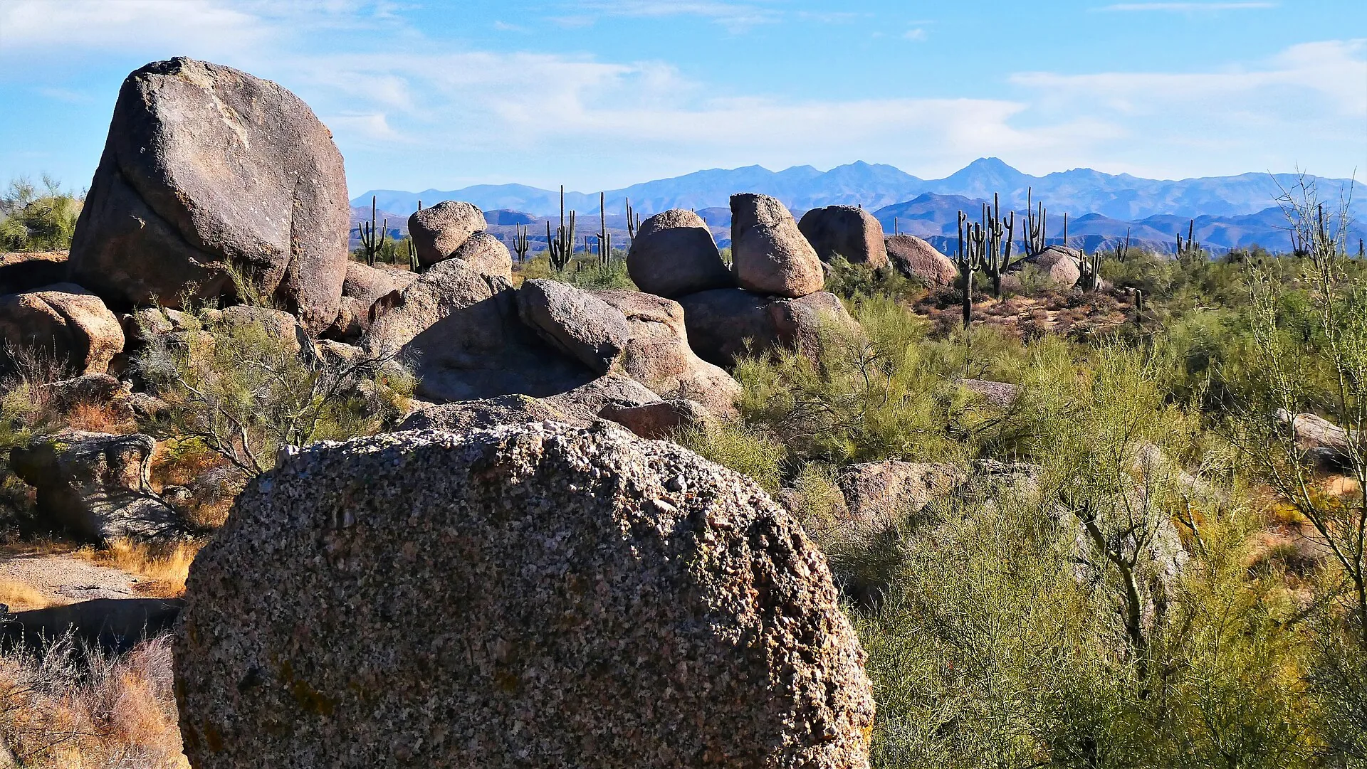 Sonoran Desert landscape near Granite Mountain in the McDowell Sonoran Preserve.