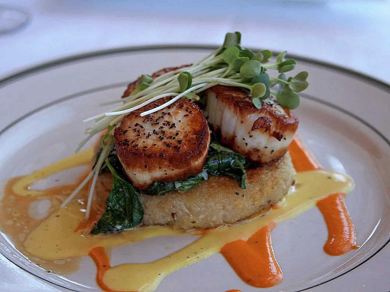 Seared scallops arranged on a plate.