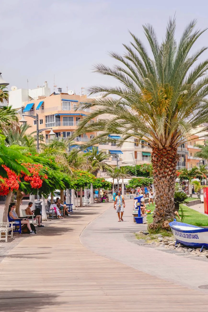 Palm trees line a sunny promenade in Los Cristianos.