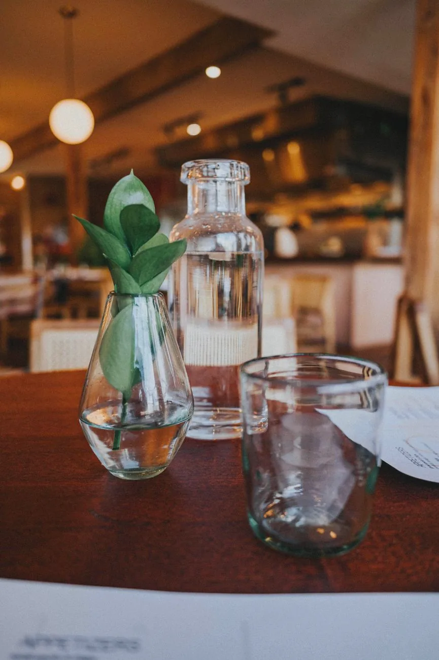 A water carafe and drinking glass on a restaurant table beside a decorative plant.