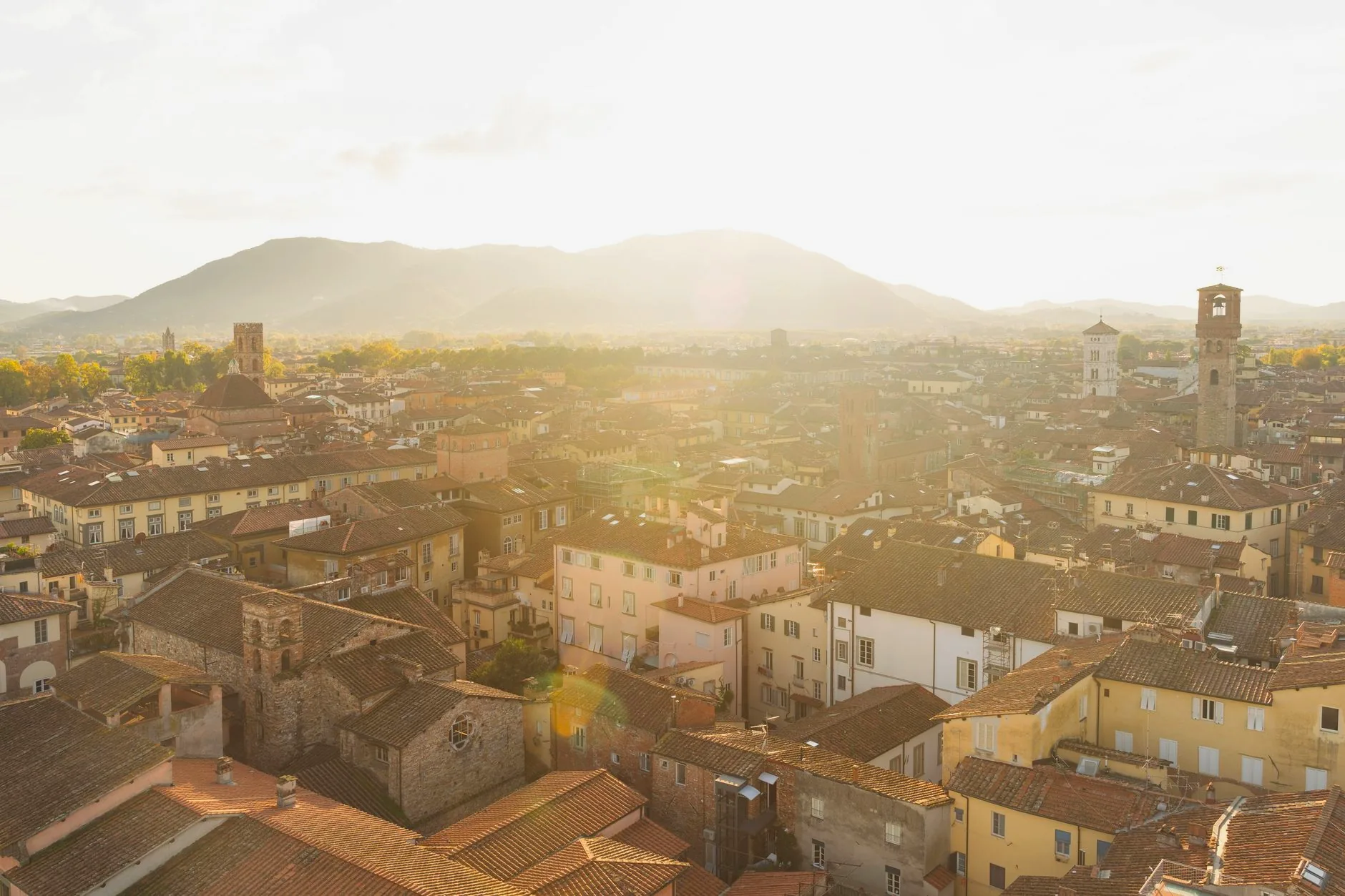 Aerial view across Lucca’s historic rooftops at sunset.