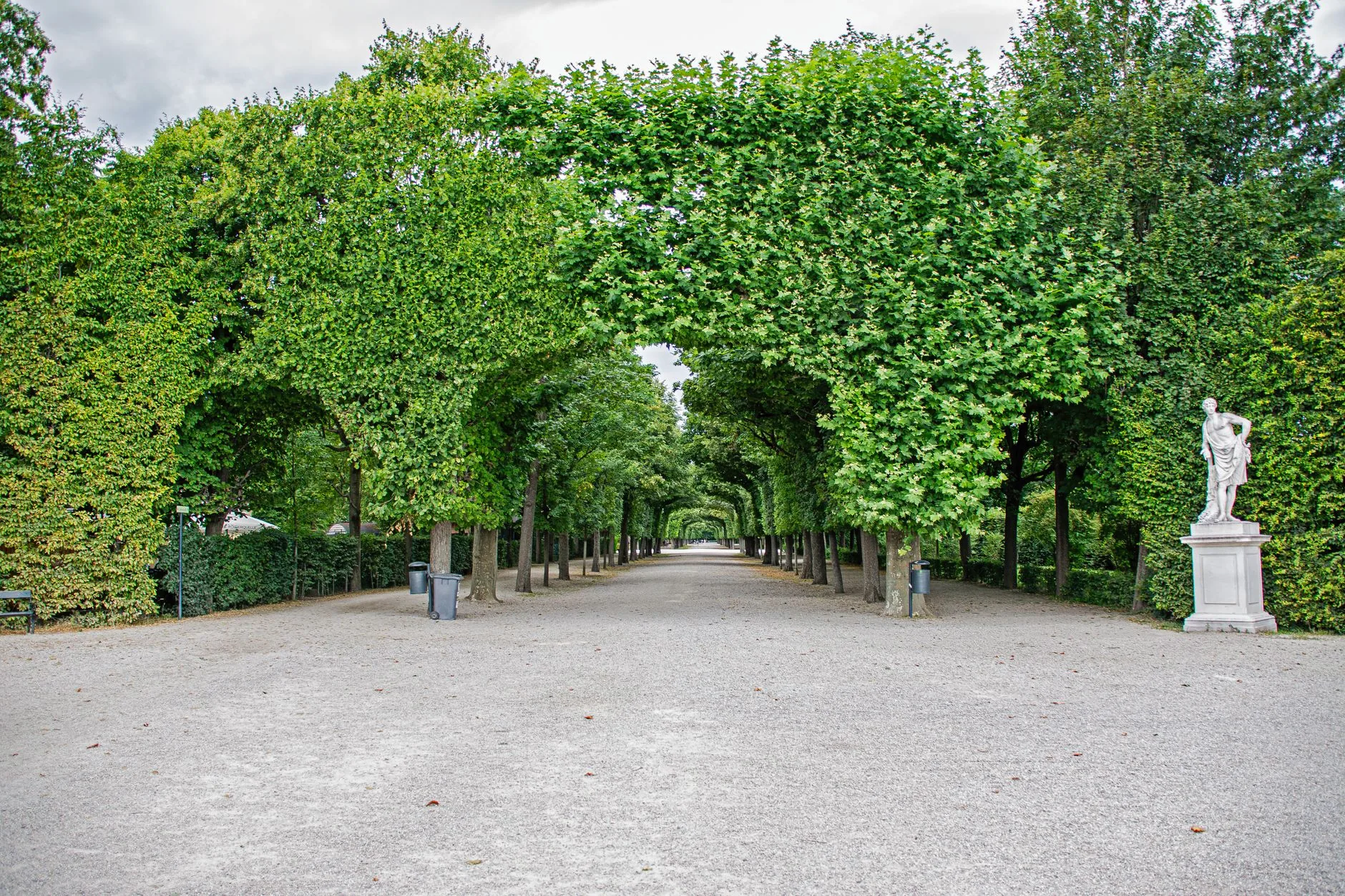 A tree-lined path runs through Schönbrunn Park in Vienna.