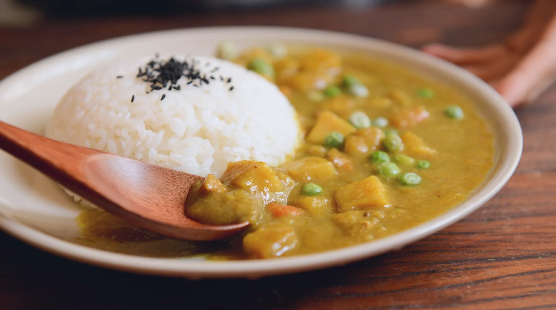 A plate of vegetable curry served with rice.