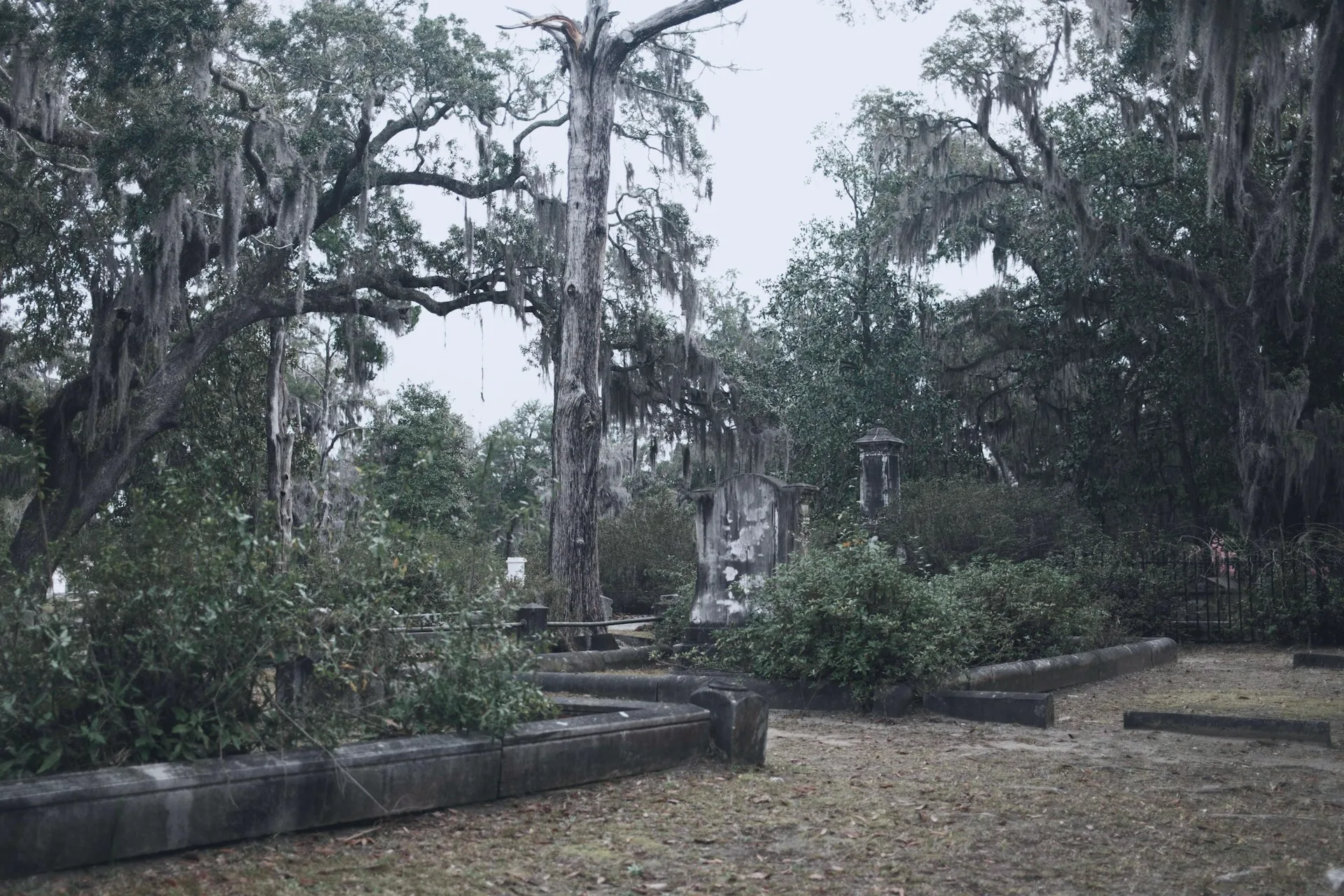Moss-draped trees and headstones in Bonaventure Cemetery